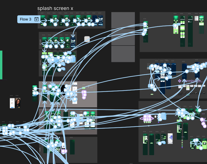 A complex user flow diagram for the Eco Hold app project, showing numerous interconnected mobile screens linked by blue prototype arrows.